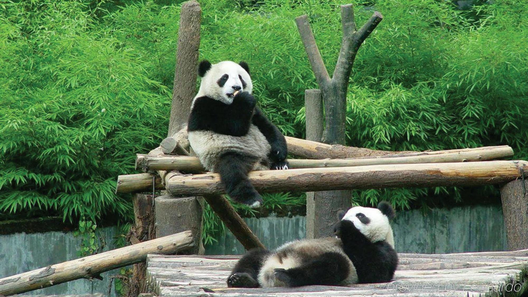 Holiday Inn Chengdu Xindu By Ihg エクステリア 写真